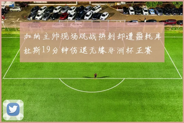 加纳主帅现场观战热刺却遭噩耗库杜斯19分钟伤退无缘非洲杯正赛