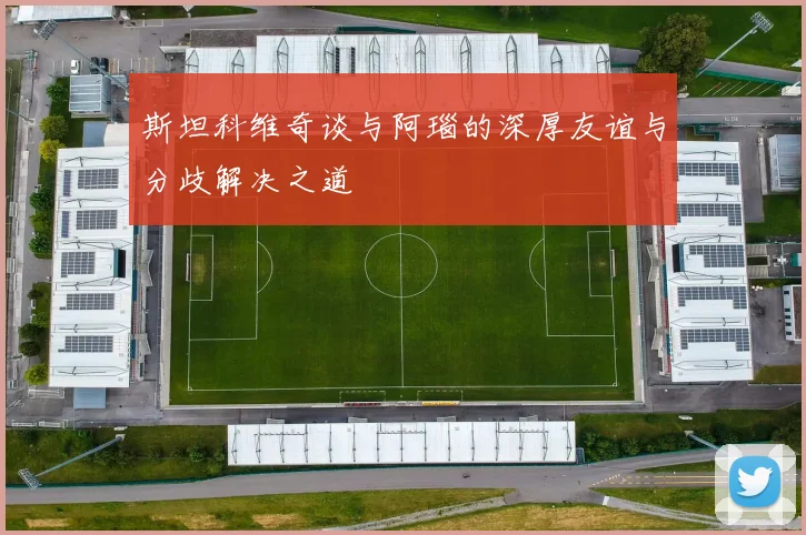 斯坦科维奇谈与阿瑙的深厚友谊与分歧解决之道